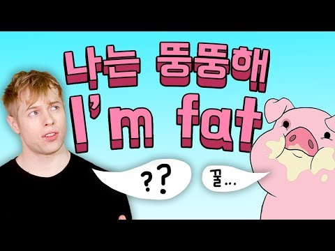 '뚱뚱하다'를 영어로 Fat이라고 하시나요?