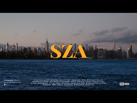 [playlist] 브루클린에서의 마지막 밤, SZA의 음악을 들으며