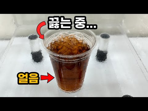 따뜻한 아이스 아메리카노를 만들 수 있다??