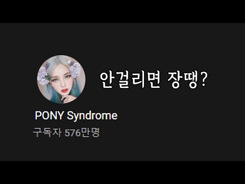 576만 유튜버 포니님의 소신