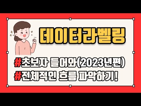 데이터라벨링 부업 초보자, 입문자를 위한 영상 하나로 흐름 파악하기 (데이터 라벨링 시작하는 법 총 정리)