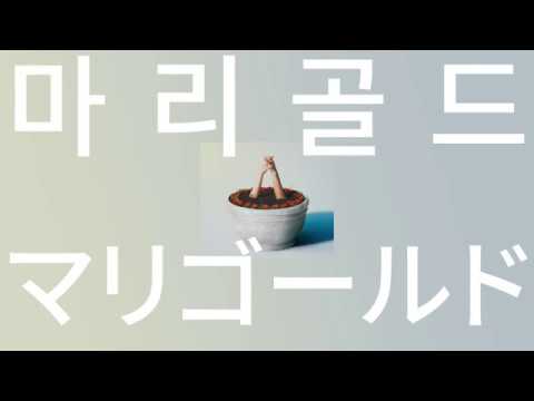 구름같은 다정함으로 안아줄게🌼: 아이묭 - 마리골드(marigold) [가사/발음/해석]