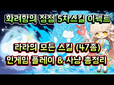 [메이플스토리 맑음] 화려함의 정점 5차스킬 이펙트 신규직업