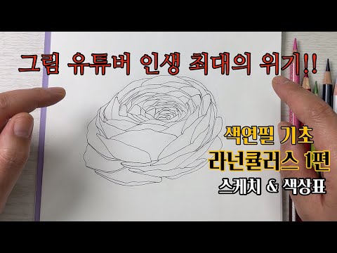 색연필기초/라넌큘러스 1편/스케치 & 색상표/색연필 보태니컬아트 기초/colored pencils botanical art
