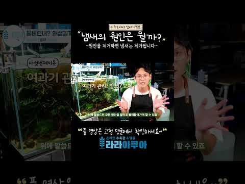 어항에서 물비린내가?? 원인을 알면 해결됩니다. #shorts