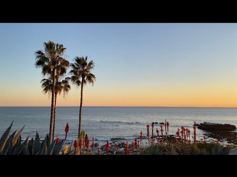 [미국여행 Vlog🇺🇸] 캘리포니아 여행 브이로그_Day1 (라구나비치)