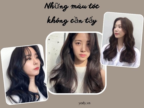 Top 20 Những Màu Tóc Không Cần Tẩy Vẫn Tôn Da Cực Trendy