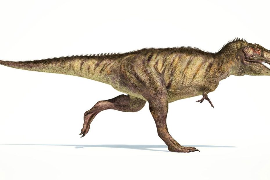 T. Rex'S Tiny Arms May Have Been Vicious Weapons