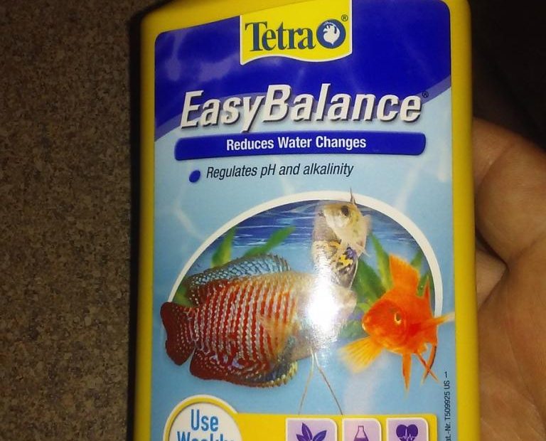 How Long For Me To Wait To Put My Fish Back In My Tank After Cleaning It |  My Aquarium Club