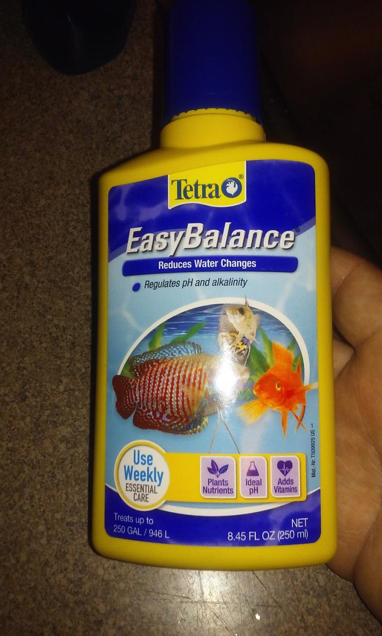 How Long For Me To Wait To Put My Fish Back In My Tank After Cleaning It | My Aquarium Club How Long For Me To Wait To Put My Fish Back In My Tank After Cleaning It | My Aquarium Club