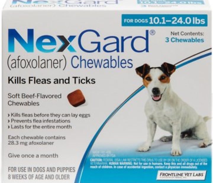 How To Get Rid Of Fleas, According To Veterinarians