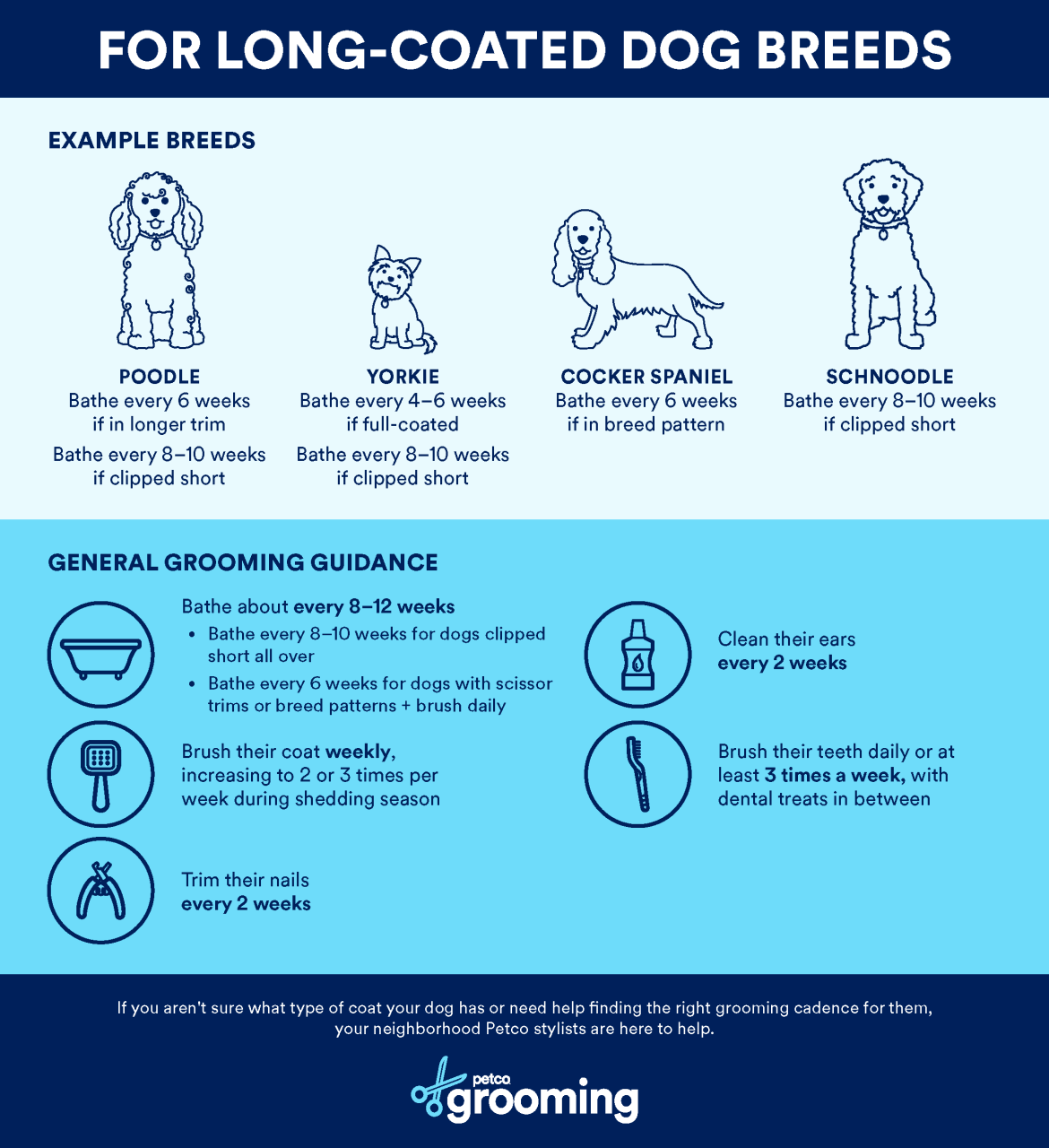 How Often to Bathe and Groom a Dog | Petco How Often To Bathe And Groom A Dog | Petco
