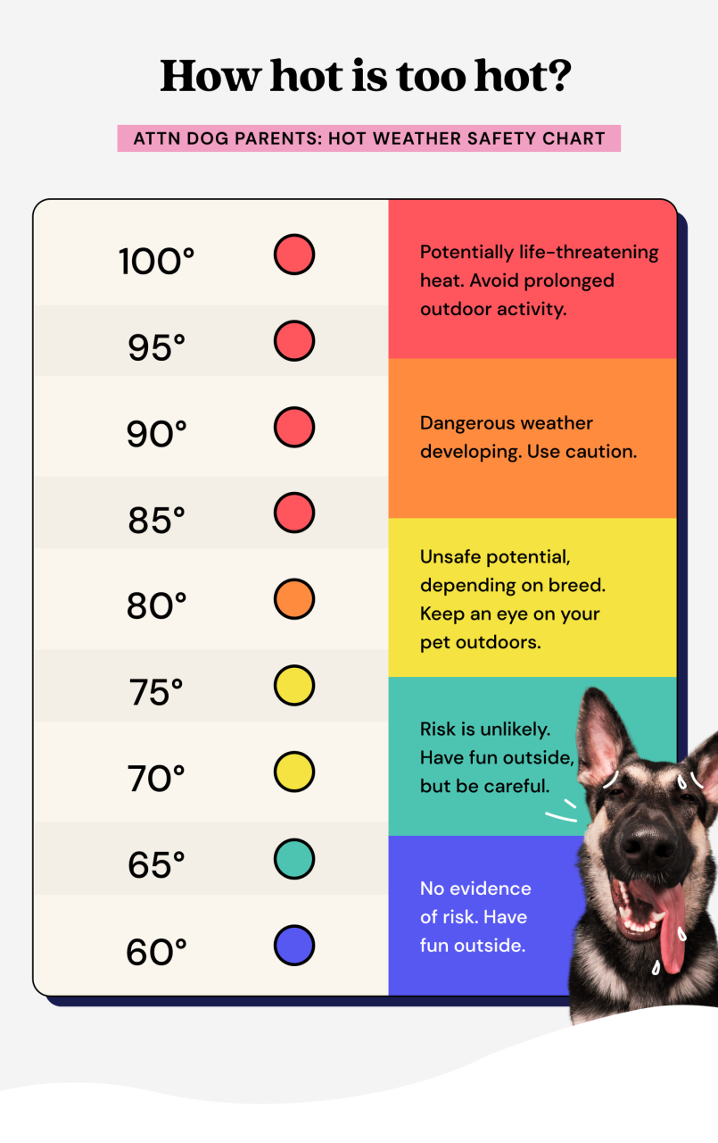 How hot is too hot for dogs? How Hot Is Too Hot For Dogs?
