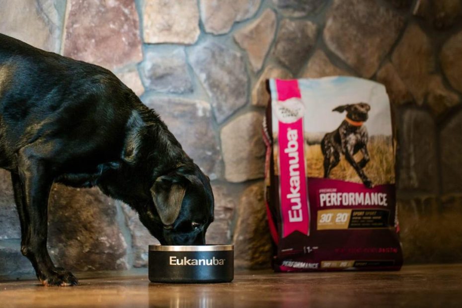 Products | Eukanuba