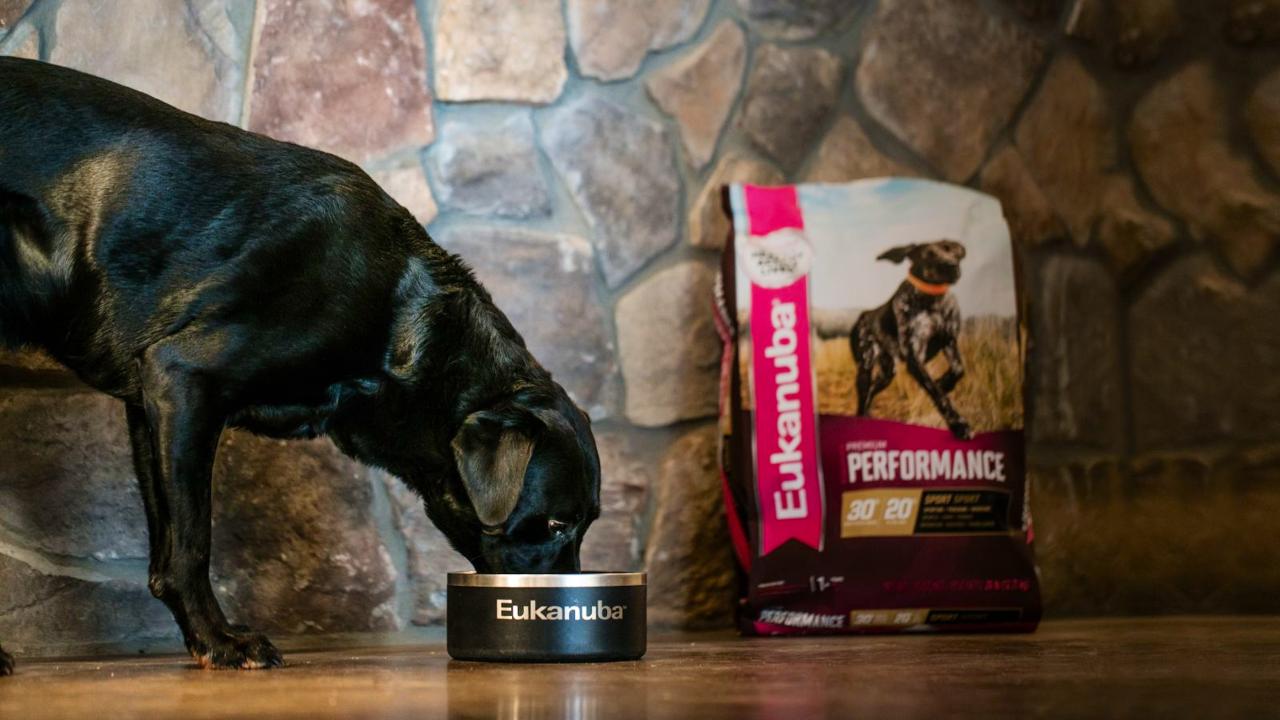 Products | Eukanuba
