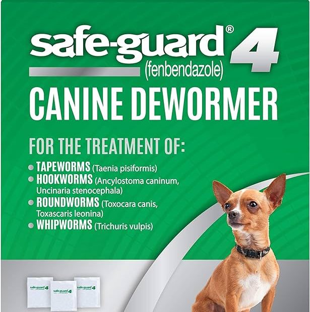 Amazon.Com : 8In1 Safe-Guard Canine Dewormer For Small Dogs, 3 Day  Treatment : Pet Wormers : Pet Supplies