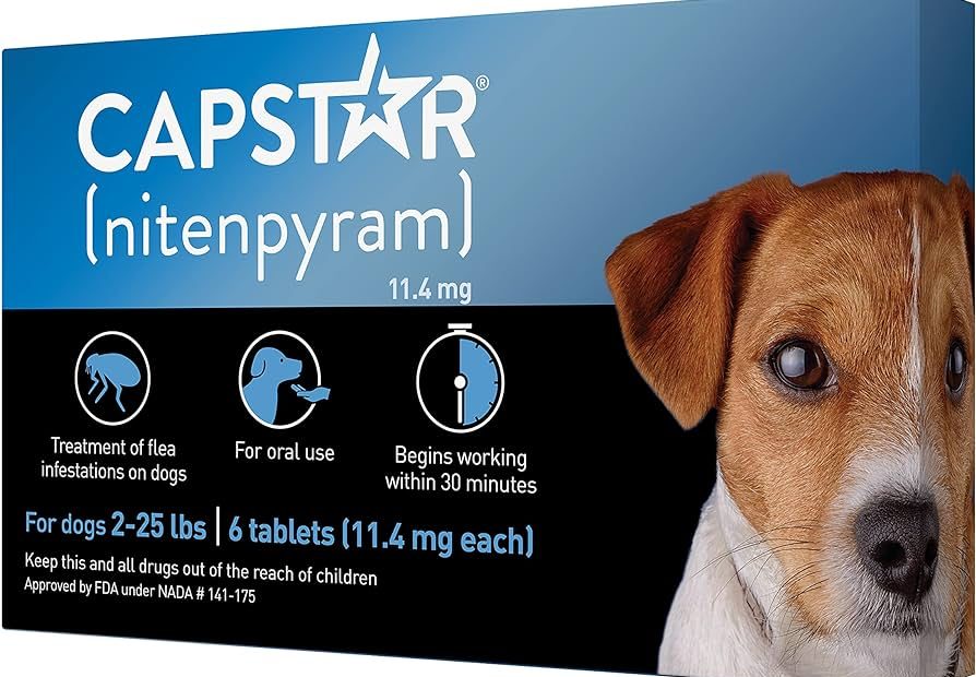 Amazon.Com : Capstar (Nitenpyram) Oral Flea Treatment For Dogs, Fast Acting  Tablets Start Killing Fleas In 30 Minutes, Small Dogs (2-25 Lbs), 6 Doses :  Pet Supplies