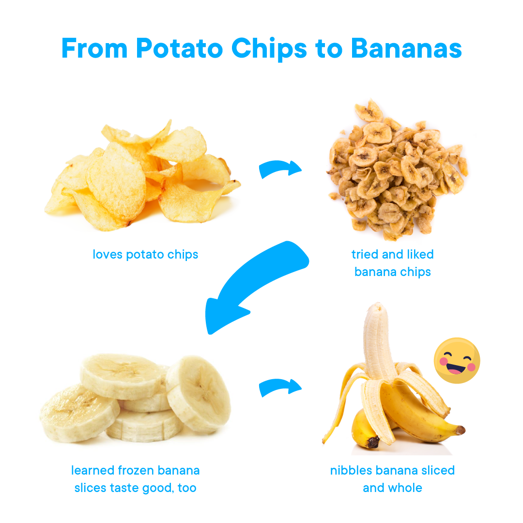 Autism and Food Aversion | Otsimo Autism And Food Aversion | Otsimo