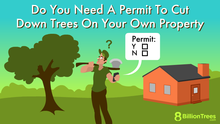 Do You Need A Permit To Cut Down Trees On Your Own Property Featured Image 
