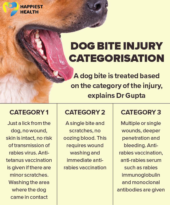 Be it a dog bite or scratch, anti-rabies vaccination is essential - Happiest Health Be It A Dog Bite Or Scratch, Anti-Rabies Vaccination Is Essential - Happiest Health