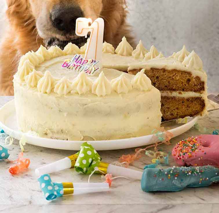 Dog Cake recipe for Dozer's birthday! | RecipeTin Eats Dog Cake Recipe For Dozer'S Birthday! | Recipetin Eats