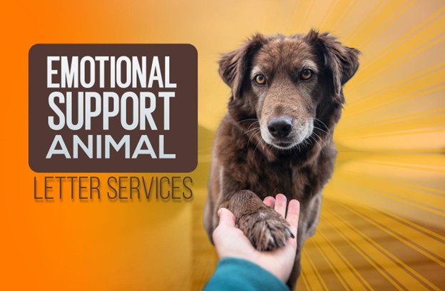Esa Letter Online: Best Emotional Support Animal Letter Services