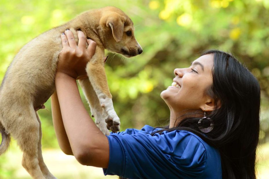 Everything You Need To Know To Adopt A Dog | Money