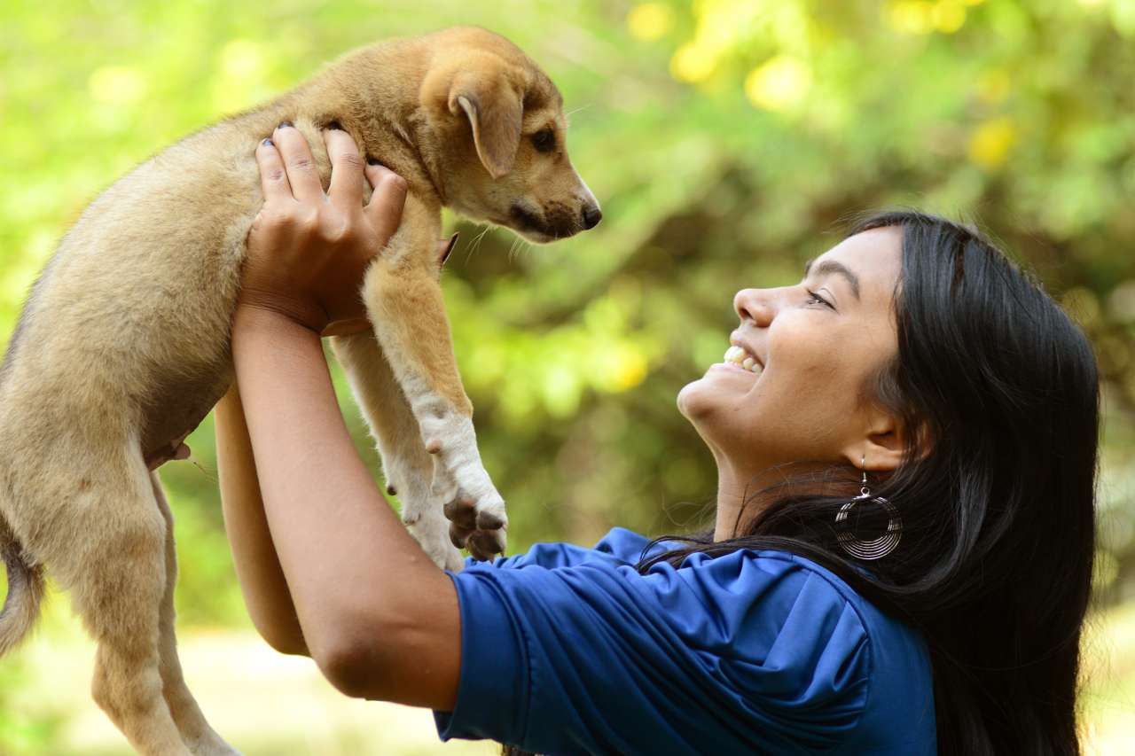 Everything You Need To Know To Adopt A Dog | Money