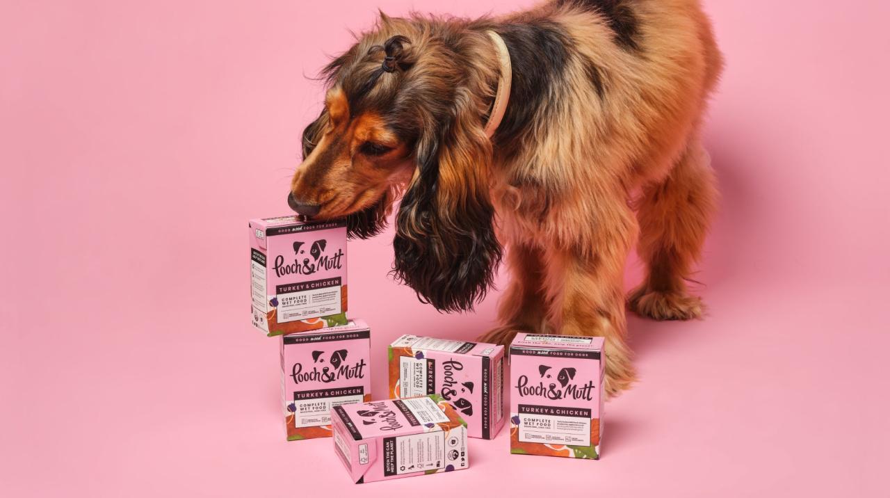How to Store Wet Dog Food | Pooch & Mutt How To Store Wet Dog Food | Pooch & Mutt
