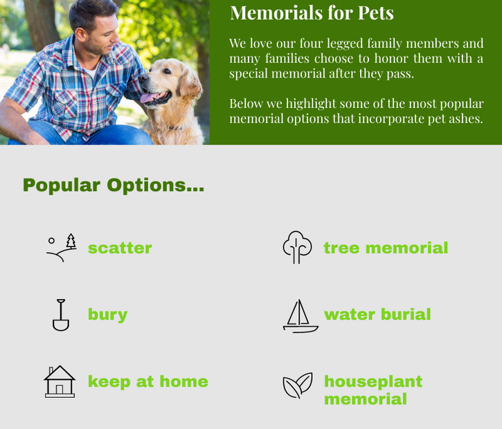 What Do You Do With A Pet'S Ashes? — The Living Urn