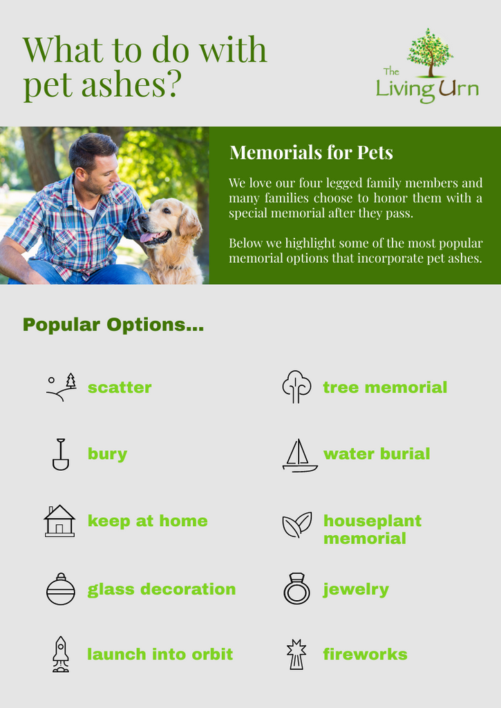 What Do You Do With A Pet'S Ashes? — The Living Urn