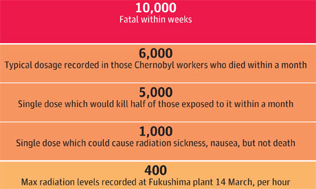 Radiation Exposure: A Quick Guide To What Each Level Means | World News |  Theguardian.Com