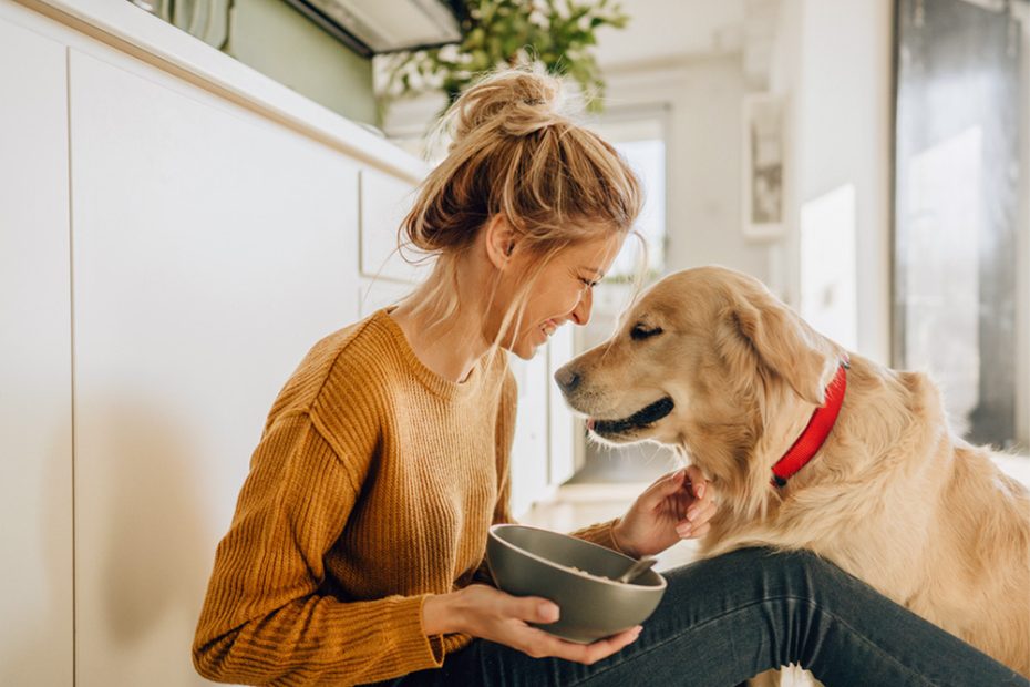 Can Dogs Eat Yogurt? Is Yogurt Good For Dogs? · The Wildest