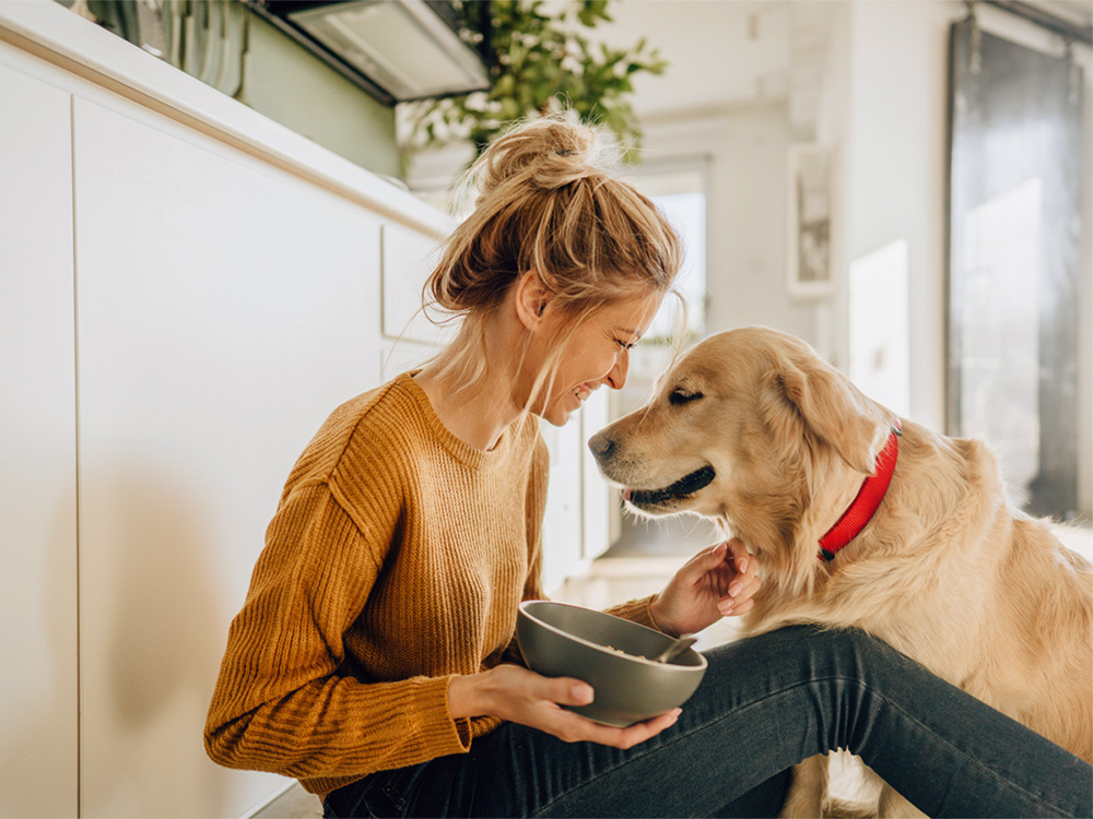 Can Dogs Eat Yogurt? Is Yogurt Good For Dogs? · The Wildest Can Dogs Eat Yogurt? Is Yogurt Good For Dogs? · The Wildest