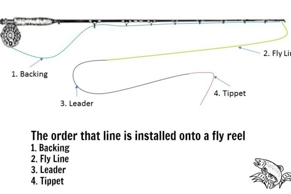 What Is A Fly Fishing Leader And Tippet? - Guide Recommended