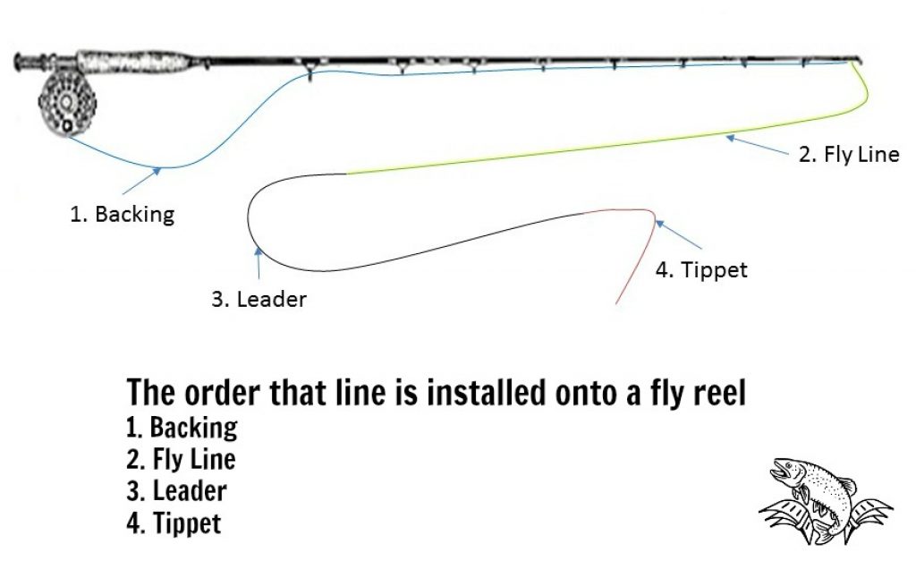 What is a Fly Fishing Leader and Tippet? - Guide Recommended What Is A Fly Fishing Leader And Tippet? - Guide Recommended
