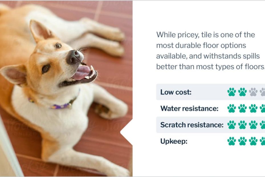 Best Flooring For Dogs: A Pet Owner'S Guide