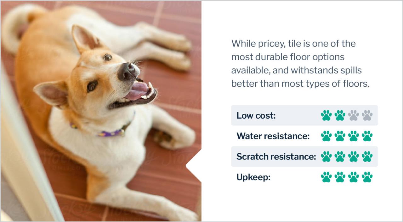 Best Flooring For Dogs: A Pet Owner'S Guide