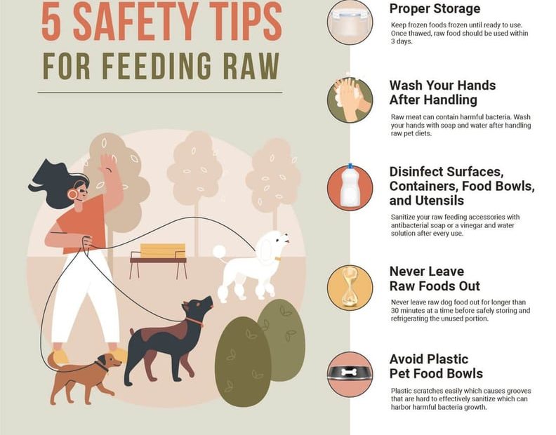Raw Dog Food For Beginners: How Much Raw Food Should I Feed My Dog?