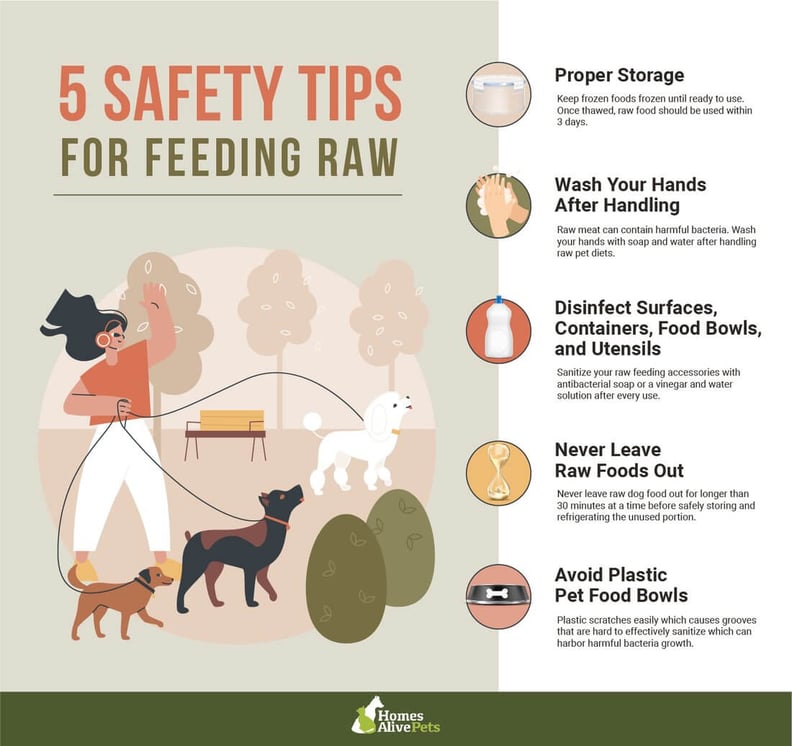 Raw Dog Food for Beginners: How Much Raw Food Should I Feed My Dog? Raw Dog Food For Beginners: How Much Raw Food Should I Feed My Dog?