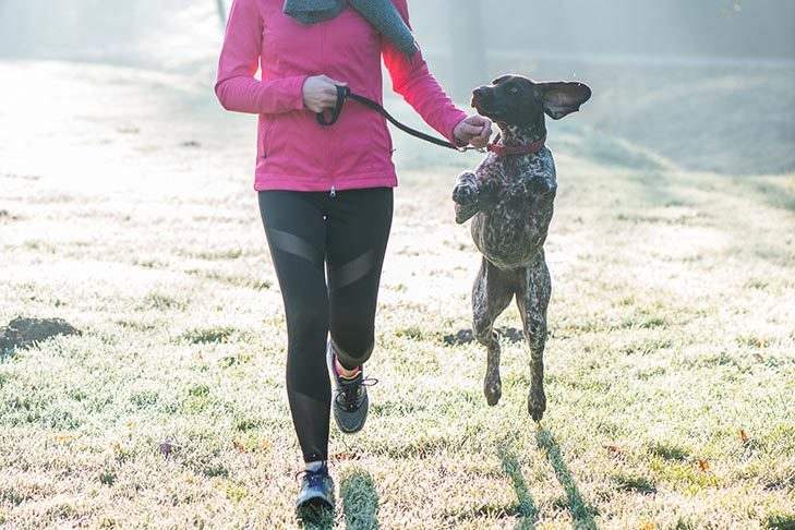 How To Train Your Dog To Run With You: Running With Dogs Tips & Tricks