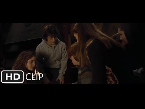 Harry and Ron Get Rejected | Harry Potter and the Goblet of Fire