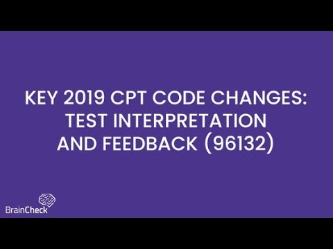 What is CPT Code 96132?