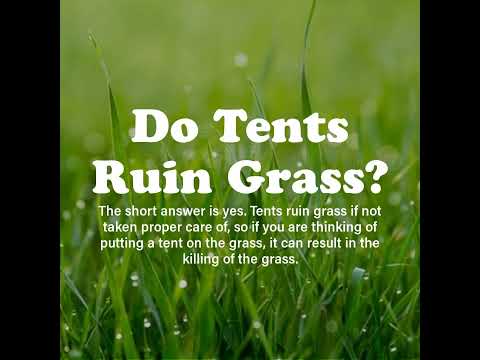 Do Tents Ruin Grass?