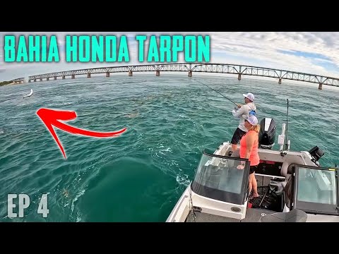 The BEST Tarpon Fishing In The World On Artificial Lures!!! - Florida Keys