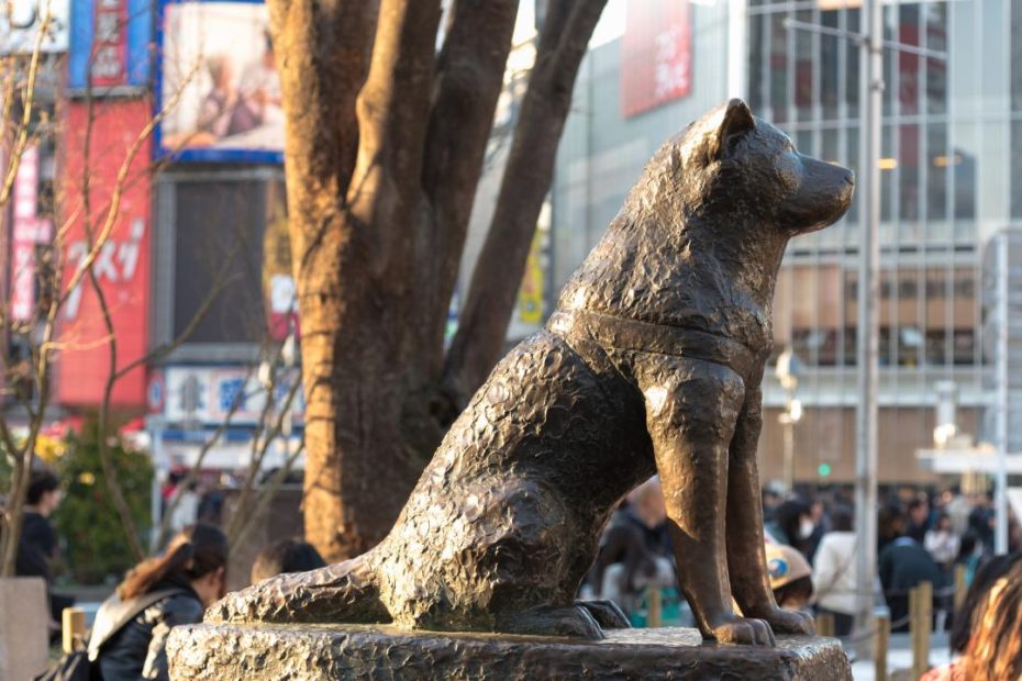 10 Things You Didn'T Know About Hachiko, Japan'S Most Loyal Dog