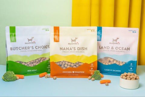 What Everyone Must Know About Freeze-Dried Raw Dog Food? – Mclovins Pet