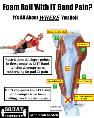 How To Fix IT Band Pain – Squat University How To Fix It Band Pain – Squat University