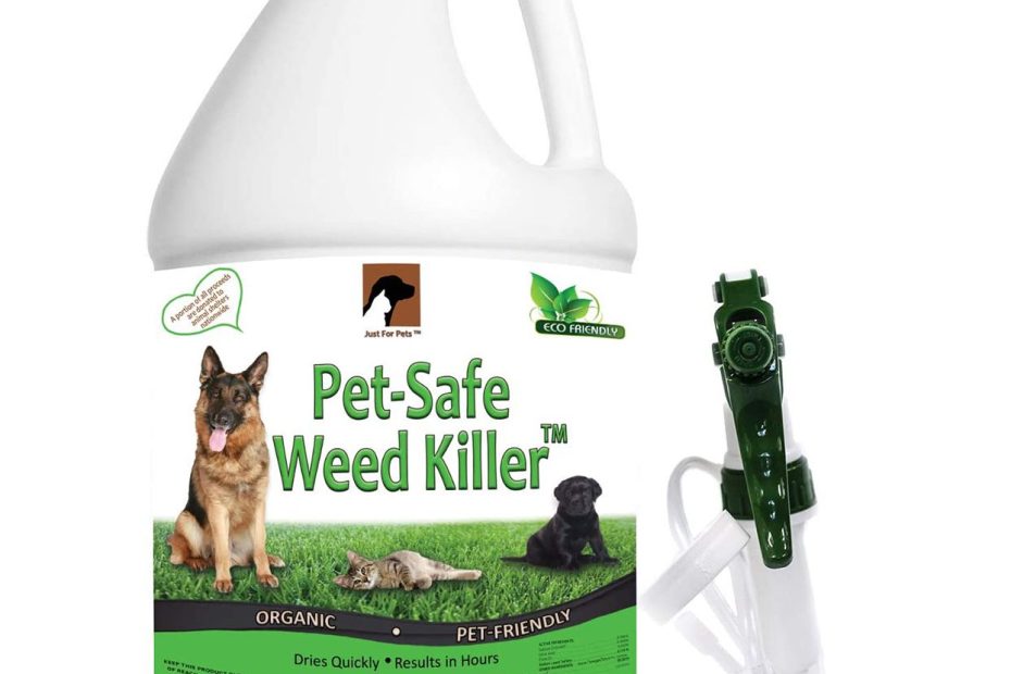 7 Best Pet-Safe Weed Killers