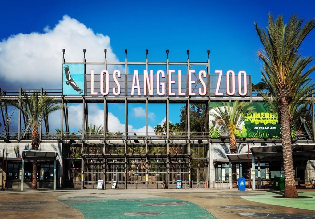 The L.A. Zoo Reopens Today, Here's What You Need To Know - Secret Los Angeles The L.A. Zoo Reopens Today, Here'S What You Need To Know - Secret Los Angeles